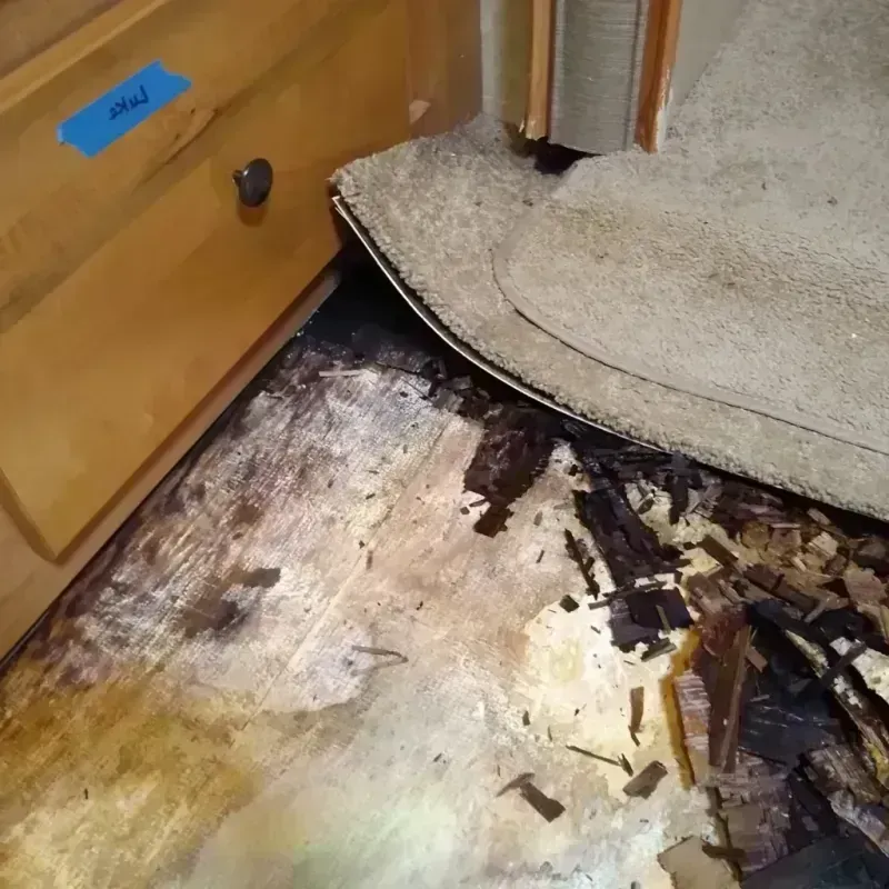 Wood Floor Water Damage in New River, AZ